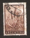 Sellos de America - Argentina -  campo de trigo