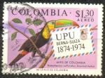 Sellos de America - Colombia -  AVES DE COLOMBIA