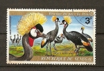Sellos de Africa - Senegal -  Aves