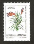 Sellos de America - Argentina -  1474 - flor clavel del aire