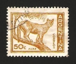 Sellos de America - Argentina -  fauna, puma