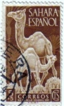Sellos de Europa - Espa�a -  Sahara Español. Día del sello 1951
