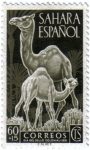 Stamps Spain -  Sahara Español. Día del sello 1951