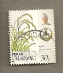 Stamps Asia - Malaysia -  Arroz
