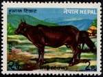 Stamps Asia - Nepal -  Fauna