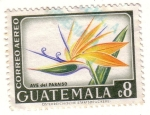 Sellos de America - Guatemala -  Ave del pParaiso