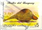 Sellos de America - Uruguay -  FOSILES DEL URUGUAY