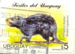 Stamps America - Uruguay -  FOSILES DEL URUGUAY