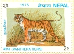 Sellos de Asia - Nepal -  Tigre