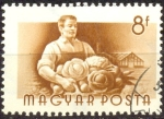 Stamps : Europe : Hungary :  AGRICULTURA
