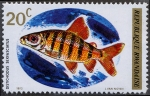 Stamps Africa - Rwanda -  Peces