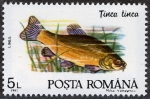 Stamps Romania -  Peces