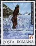 Stamps Romania -  Fauna