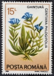 Stamps Romania -  Flores