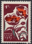 Stamps : Europe : Russia :  Flores