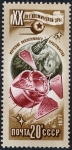 Stamps : Europe : Russia :  Espacio
