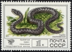 Stamps Russia -  Fauna