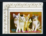 Stamps Africa - Equatorial Guinea -  Gatos europeos