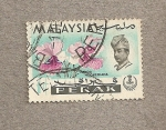 Stamps Asia - Malaysia -  Flor Vanda hookeriana
