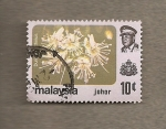 Stamps Malaysia -  Duria zibethinus