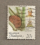 Stamps Malaysia -  Elaesis guineensis