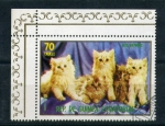 Stamps Africa - Equatorial Guinea -  Gatos guepardos
