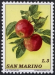 Stamps San Marino -  Frutas