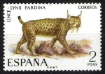 Stamps Spain -  Fauna hispánica. Lince.