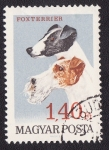 Stamps Hungary -  Foxterrier