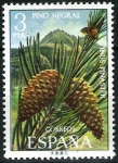 Stamps Spain -  Flora. Pino negral.