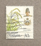 Stamps Malaysia -  Oryza sativa