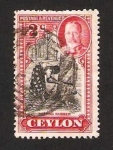 Stamps Sri Lanka -  arbol de caucho