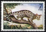 Stamps Spain -  Fauna hispánica. Gineta.