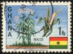 Stamps Africa - Ghana -  Maiz