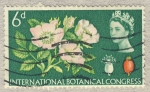 Stamps : Europe : United_Kingdom :  Tenth International Botanical Congress Edinburgh