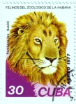 Stamps Cuba -  Felinos del zoo de la Habana.León