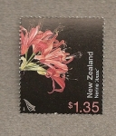 Stamps New Zealand -  Flor de jardín