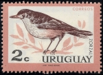 Sellos de America - Uruguay -  Fauna