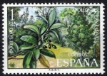 Stamps Spain -  Flora.Barbusano.