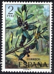 Stamps Spain -  Flora. Faya.
