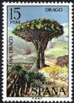 Stamps Spain -  Flora. Drago.