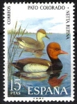 Sellos de Europa - Espa�a -  Fauna hispánica. Pato colorado.