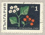 Stamps Europe - Bulgaria -  flor hoja y fruto