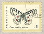 Stamps Bulgaria -  Parnassius apollo st1 1962
