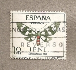 Stamps Spain -  Ifni, Mariposa Syntomis alicia