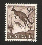 Sellos de Oceania - Australia -  canguros