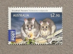 Stamps Australia -  Marsupiales