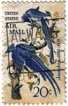 Sellos del Mundo : America : Estados_Unidos : Air Mail. United States