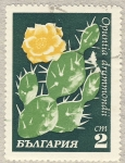 Stamps Europe - Bulgaria -  Opuntia drummondii