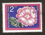 Stamps Bulgaria -  flor de jardín, rosa